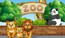 有趣的动物园之旅