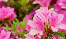 我终于懂得了什么