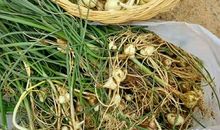 春游，收获满满