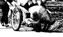 有趣的农家生活