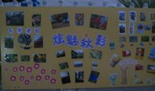 小学作文秋天的足迹