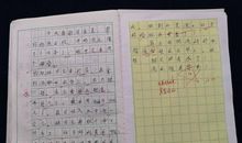 我学会了洗红领巾