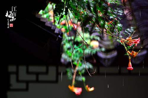江南的雨季