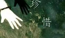 失去太阳，就不要错过群星