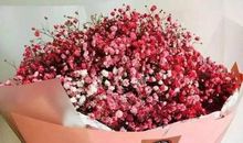 满天星下的思念