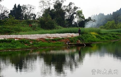 这条河很清澈