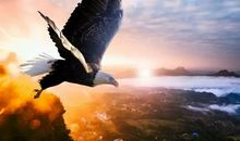 机会是自己创造