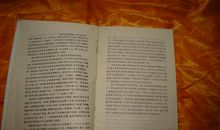 两位感恩节的绅士续写