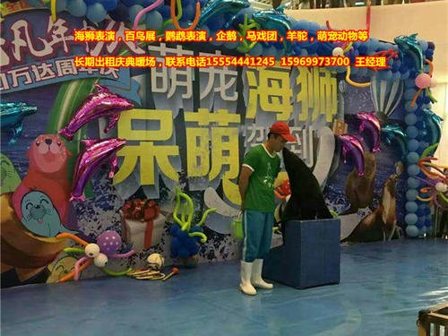 观看马戏表演