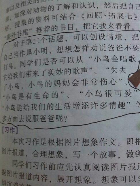我与动物组成的故事