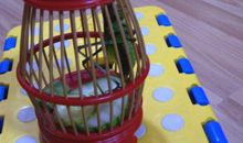 回乡后的柴斯特