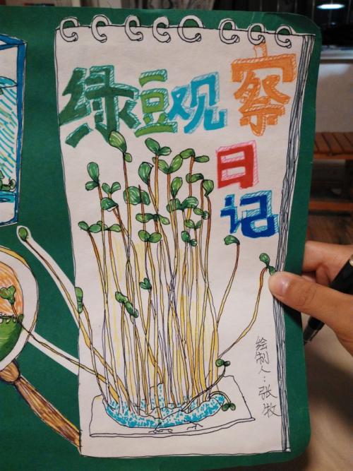 小雅儿的成长
