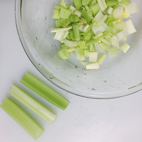 芹菜观察日记