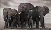 触动心灵的史诗