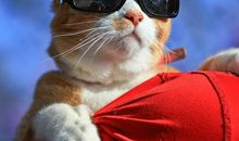 一只温暖我的手