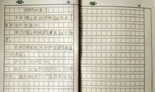 我长大后做什么二年级作文