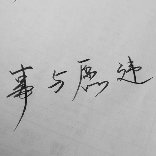 事与愿违