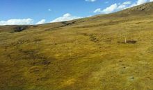 一次刻骨铭心的经历