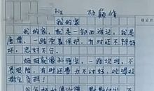 介绍我的家作文500字