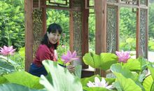 花开不止在春天