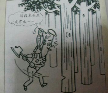 这块木头一定有虫子