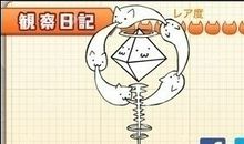 爬山虎观察日记