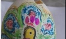 看图写话巧用鸡蛋壳