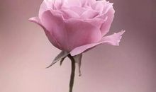 让,是一种谦虚的表现