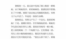 写观察日记400字左右