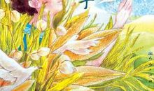 父亲变成星星的日子读后感