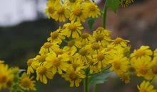 最美的就在身边