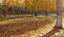 成功路上洒满阳光