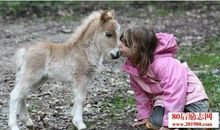 人和动物的那些事