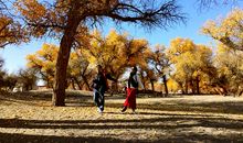 一路欢笑一路歌