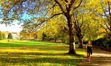 那一缕阵阵秋风