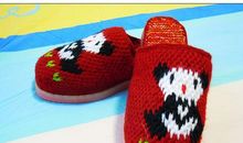 我的业余生活—养鸭记