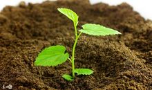 那一段让我心疼的时光