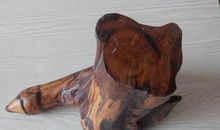 独一无二的爱晚亭