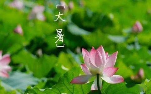 诗路花雨