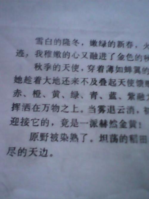 景观组成