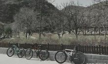 一路上有你真好