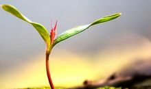 就这样埋下了一颗爱的种子