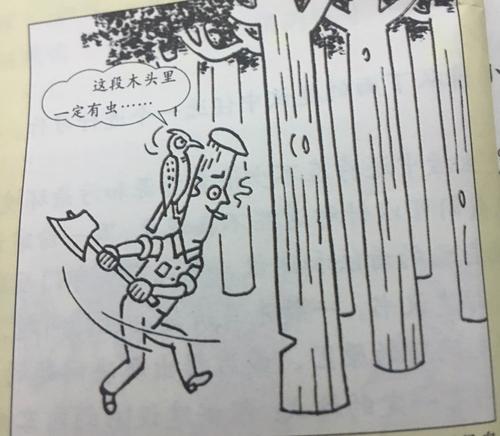 这块木头有虫子