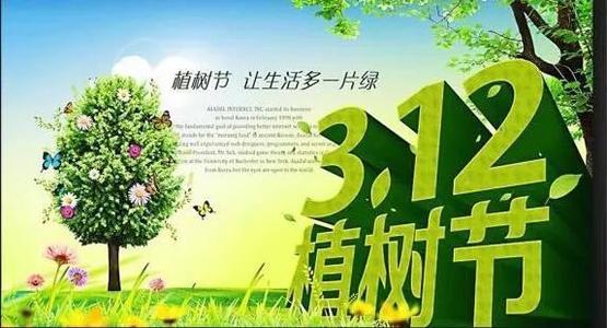 我的植树节