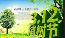 我的植树节
