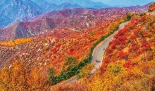 无处不在的秋天