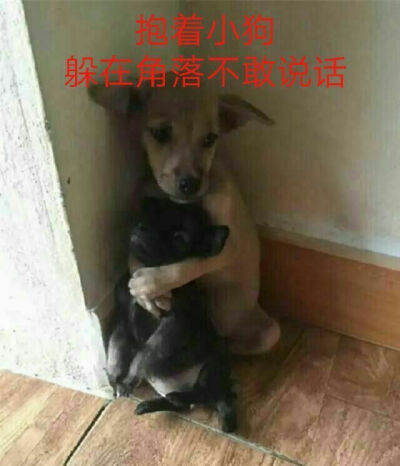 隐藏在角落里的美丽