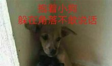 藏在角落里的美