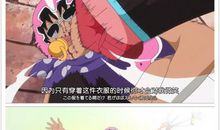 昂贵的一件衣服