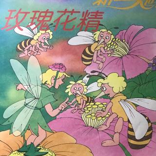 骄傲的玫瑰仙子
